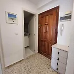 Lemon Торевьиа