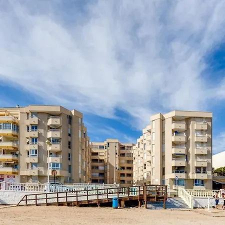 Lemon تورّيفيِخا